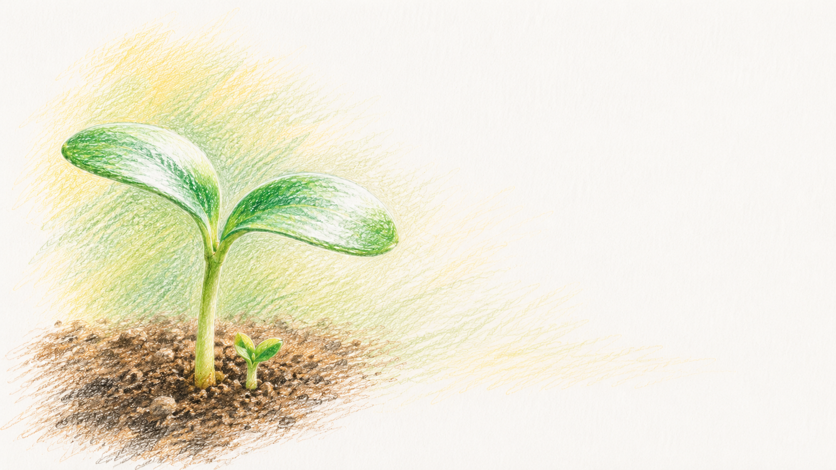土から芽吹く若葉の色鉛筆画